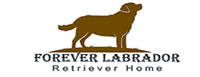 Forever Labradors